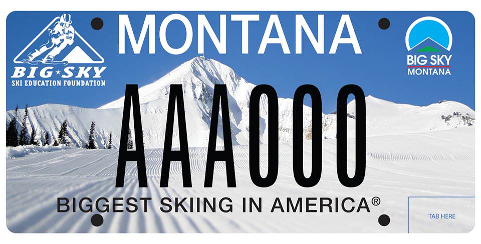 Montana License Plate You Pick Big Sky Country Flathead County ~FreeFreeShip~ 