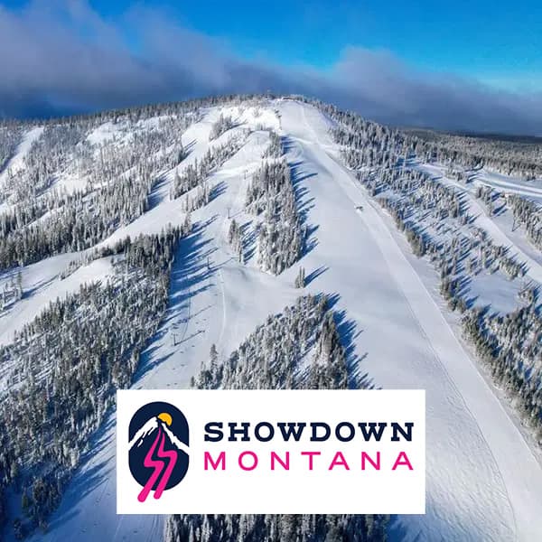 Showdown Speed Elements Project